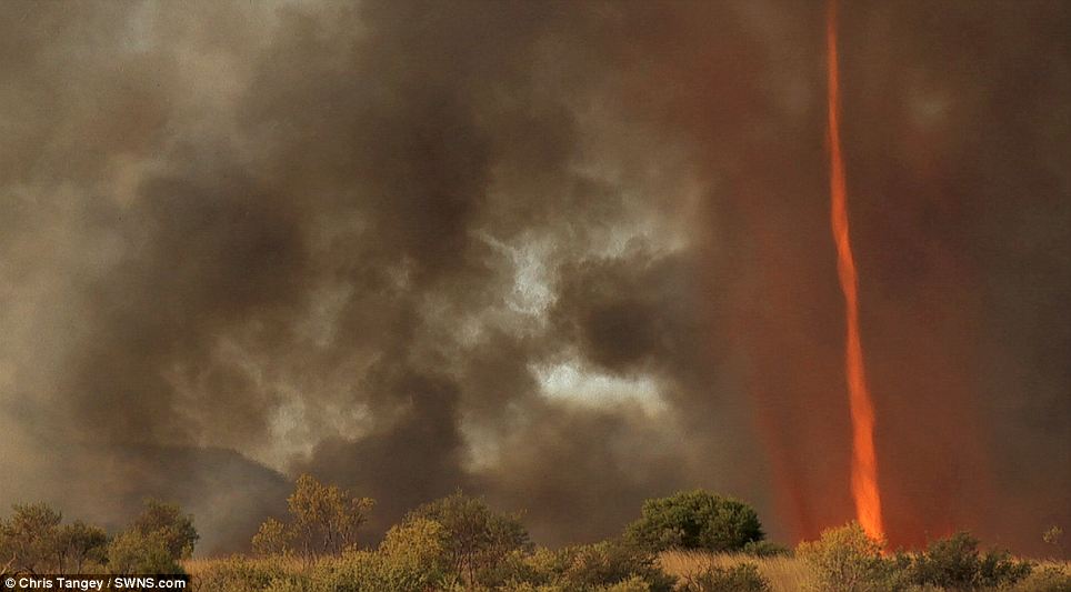Distant view: At the time, he was300-metres away from the 30-metre high fire swirl which 'sounded like a fighter jet' despite there being no wind in the area